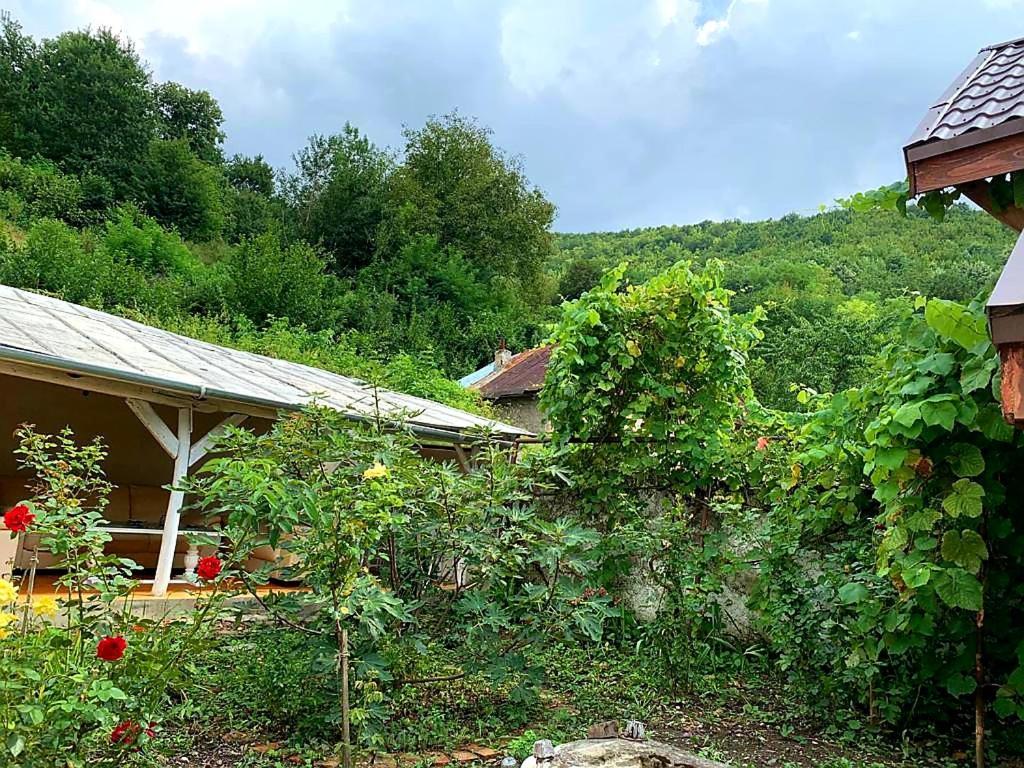 Vila Casa Luna Betiluna Oravita Exteriér fotografie