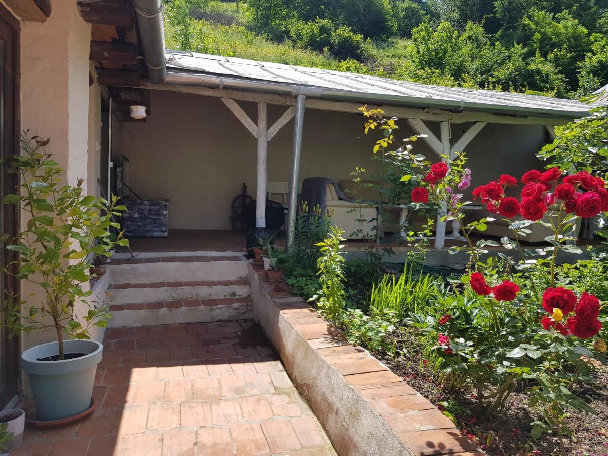 Vila Casa Luna Betiluna Oravita Exteriér fotografie