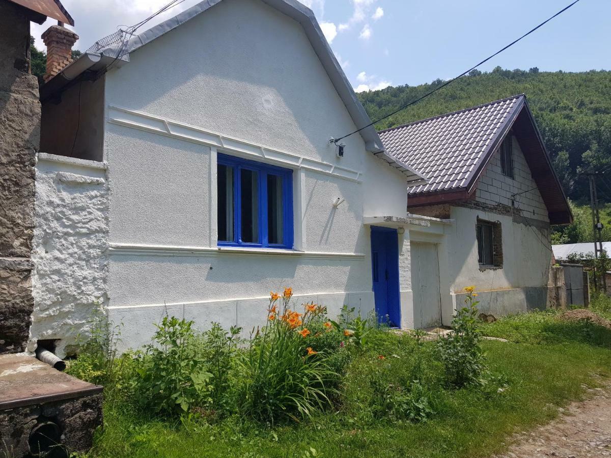 Vila Casa Luna Betiluna Oravita Exteriér fotografie